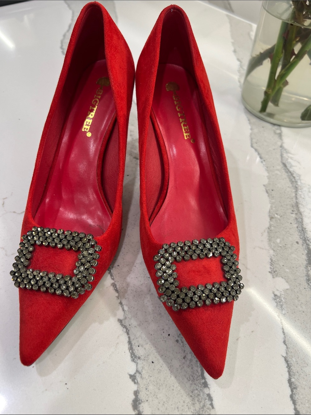 Red Suede Pointed-Toe Heels with Crystal Buckle